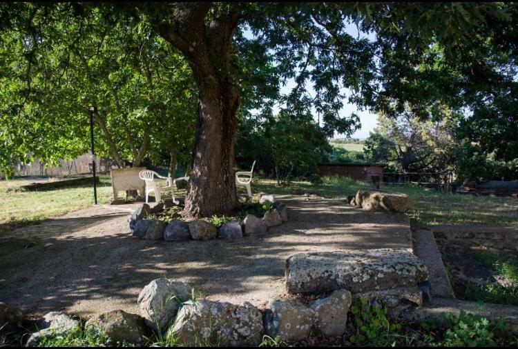 Favoloso Appartamento In Villa Monterosi Exterior foto