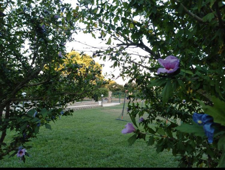 Favoloso Appartamento In Villa Monterosi Exterior foto